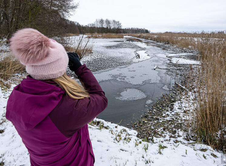 Winter über den Fischteichen