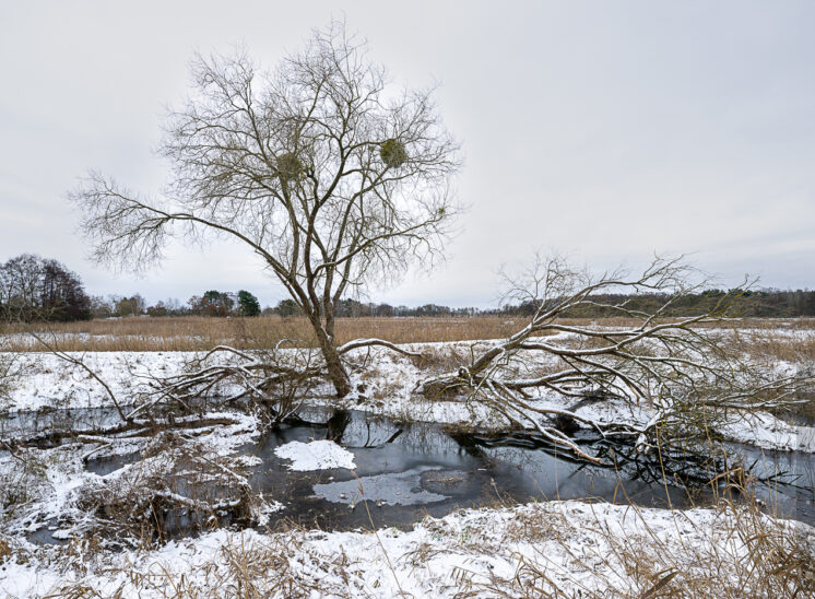 Winter an der Welse