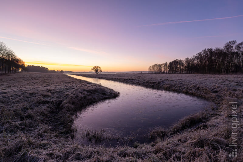 Farbspiel am Wintermorgen