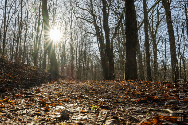 Sonnenaufgang im Vorfrühling