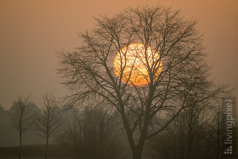 Sonnenaufgang im Nebel