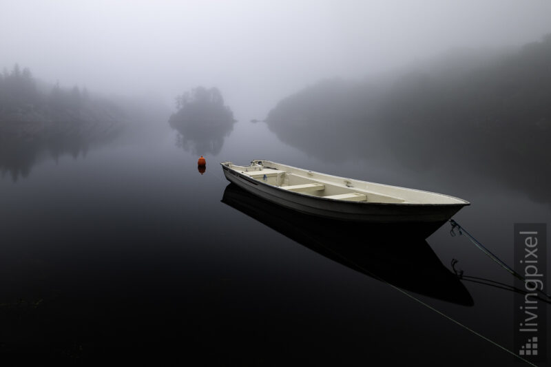 Im Nebel