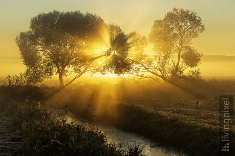 Sonnenaufgang im Nebel