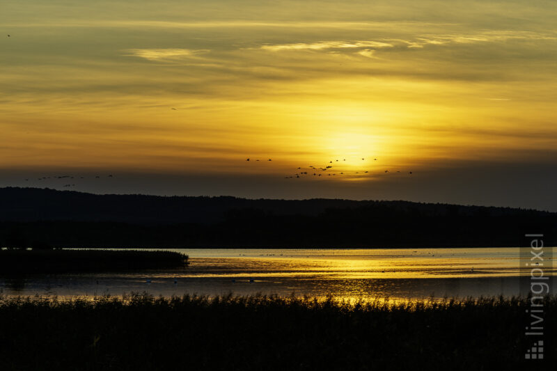 Sonnenuntergang am Galenbecker See