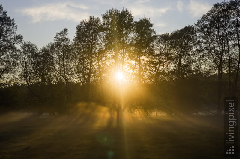 Sonnenuntergang im Nebel