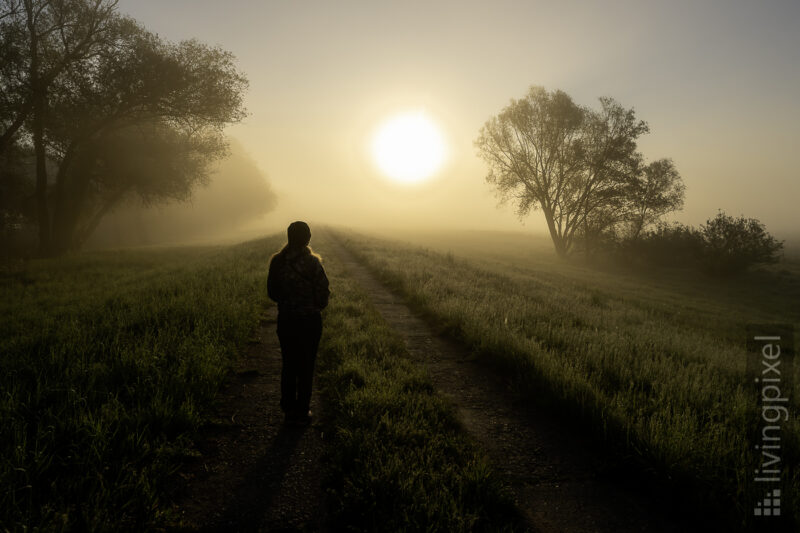 Sonnenaufgang im Nebel